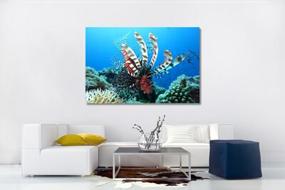 Photo on Canvas Coral reefs - limited editions - souvenirs from the sea - sea life - promo price - - discount today - 29%