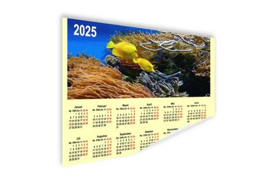 Póster calendario arrecifes de coral 2025 - Póster calendario - Sin marco - souvenirs del mar - souvenirs del mar - foto regalo