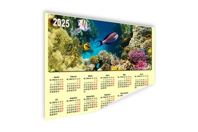 barriere coralline - poster del calendario 2025 - a colori - oceano - vita marina - calendario 2025 - calendario fotografico 2025 - souvenir da