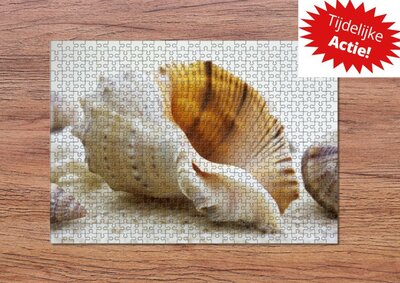 puzzle - 500 pezzi - Conchiglie da spiaggia - mare - natura - marittimo - souvenir dal mare