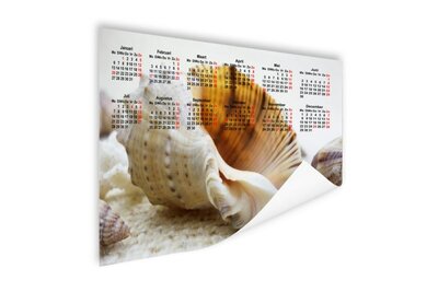 stylish calendar poster for the year 2025 - shells - nature - sea life souvenirs - seaside holiday souvenirs - annual calendar - wall calendar 