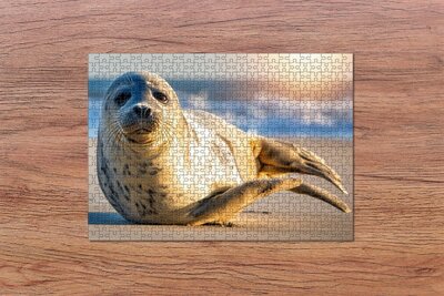 Puzzel Zeehond - Legpuzzel - Puzzel 500 stukjes - zeeleven souvenirs -  Geleverd met een bijpassende doos - natuur - souvenirs from the sea