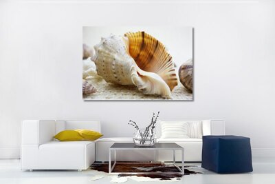 canvas - schelpen -  natuur - wanddecoratie - woonkamer wanddecoratie - slaapkamer wanddecoratie -  muurdecoratie - souvenirs from the sea