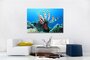 Photo on Canvas Coral reefs - limited editions - souvenirs from the sea - sea life - promo price - - discount today - 29%_